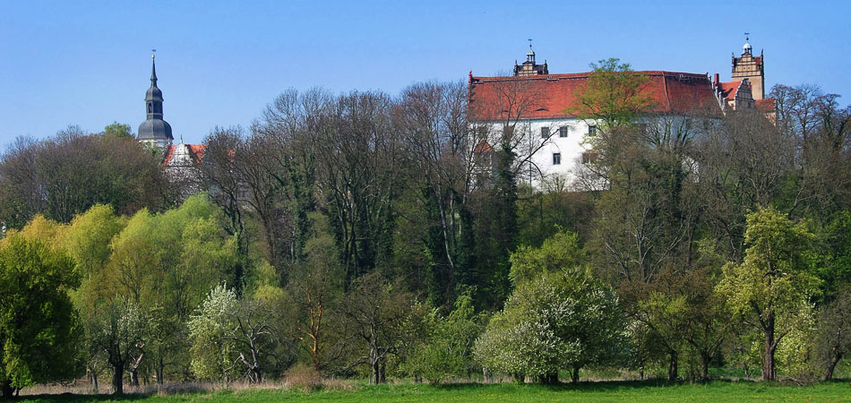 Blick auf Kirche und Schloss vom Elberadweg.